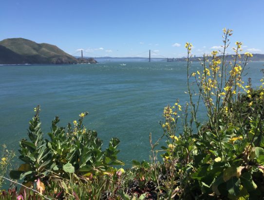 Alcatraz: Nature and History of San Francisco