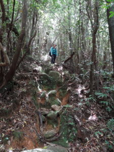 Onaida Trail