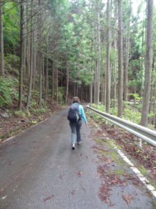 Kumano Kodo Pilgrimage
